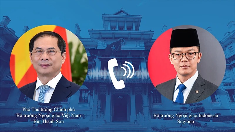 Phó Thủ tướng, Bộ trưởng Ngoại giao Bùi Thanh Sơn điện đàm với Bộ trưởng Ngoại giao Indonesia