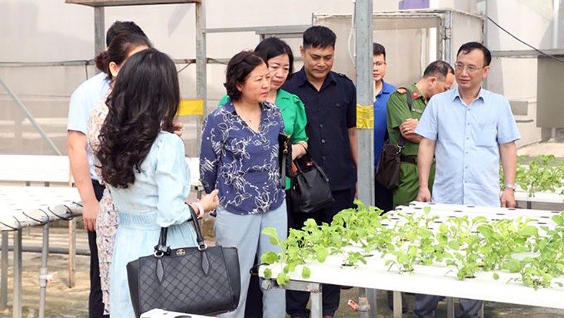 Ngăn chặn thực phẩm bẩn