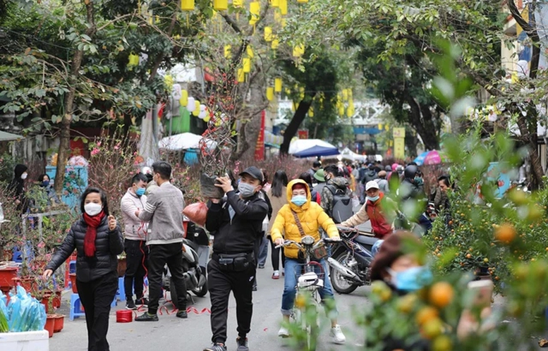 Thời tiết Tết Bính Ngọ thuận lợi để du xuân