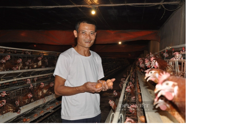 Nông dân Việt Nam xuất sắc 2022 đến từ Hưng Yên là tỷ phú nuôi 6 vạn con gà đẻ trứng